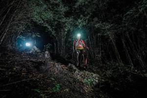 BIB: 
                            <button type="button" onclick="openModal(25099967)" class="btn btn-primary btn-sm float-right btn-popup" data-toggle="modal" data-target=".modal-high-quality">
                        <i class="fas fa-shopping-cart"></i> Add to Cart
                    </button>
                                            <button type="button" onclick="isThisMe(25099967, true)" class="btn btn-success btn-sm float-right btn-popup btn-isme hidden" data-toggle="tooltip" data-placement="bottom" title="นี่คือรูปของคุณใช่ไหม คลิกที่นี่เพื่อเอาเข้าอัลบั้ม">
                        <i class="fas fa-plus"></i> Add to album
                    </button>
                    <button type="button" onclick="isThisMe(25099967, false)" class="btn btn-warning btn-sm float-right btn-popup btn-isnotme hidden">
                        <i class="fas fa-ban"></i> Remove from album
                    </button>